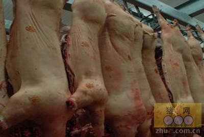猪肉进口成必然 我国生猪市场将受冲击