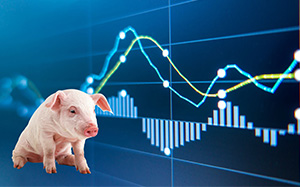 12月份东北地区生猪价格走势图