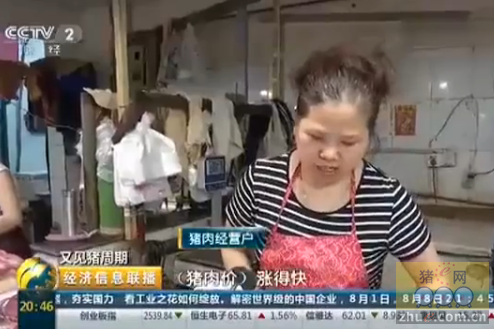 杭州生猪每斤9块钱 一周上涨超3%