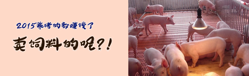 2015养猪的都赚钱了，卖饲料的呢