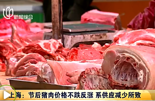 上海节后猪肉价格不跌反涨