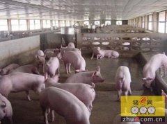 贵州：德江加速建设畜牧产业园区