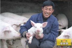 宁河区：生猪产业化联盟给生猪养殖户“充电”