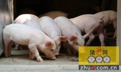 中国生猪养殖规模变化带来的生猪区域产能变化