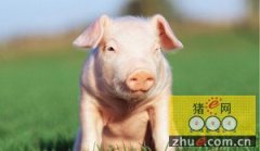 衢江区近千猪场实现生态治理