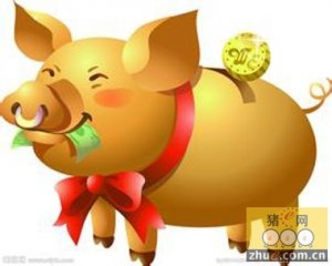 重庆生猪电子交易平台