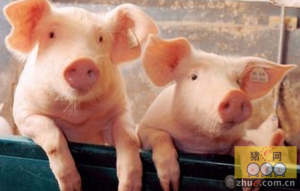 大康牧业淡出生猪养殖背后:原控制人减持套现5.6亿