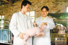 泸州市兽医系统技能大比武在泸县举行
