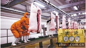 下半年肉价涨幅明显 进口冷冻肉比重将上升