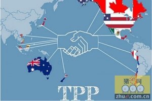 美国猪肉生产厂商协会对于TPP协议非常有信心