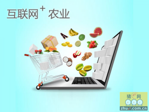 关于电子商务对黑龙江农业经济的影响的毕业论文的格式范文
