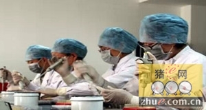 中国将帮助赞比亚建设牲畜疫苗实验室