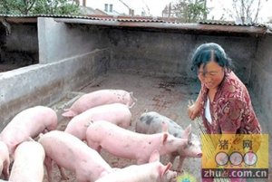 尊重猪市市场规律，才能“我的猪价我做主”！