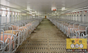 福建省农科院生猪新型养殖项目在长汀元岭开工建设