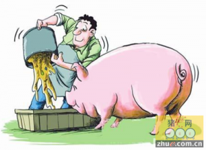 2016养猪补贴开始申报，最高补助达80万