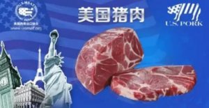 南非同意进口美国的猪肉