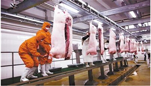 美国生猪展望：猪肉冷藏储量上升