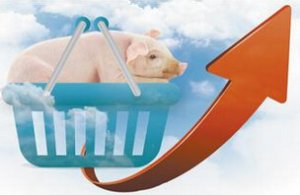 欧盟谷物-猪肉价值链必须仰仗国家力量
