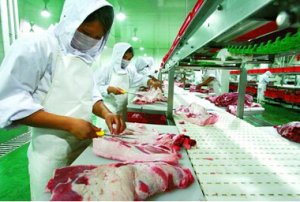 无莱克多巴胺猪肉认证每年价值3-5亿美元