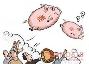 发改委预警养殖户理性判断猪价走势