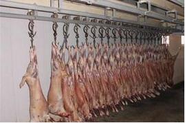 芝加哥商品交易所：冷藏库存量报告对猪价有利