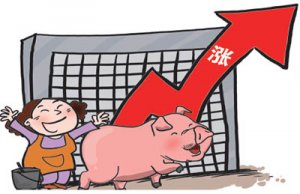 山西太原：近日猪肉价格却出现逆市大涨
