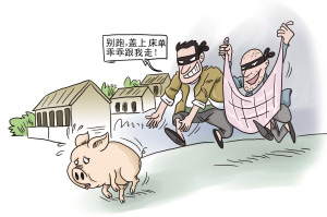 湖北京山养猪户挖墙入室偷走他人62头仔猪落法网