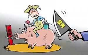 广东河源依法取缔禁养区养猪场超千家