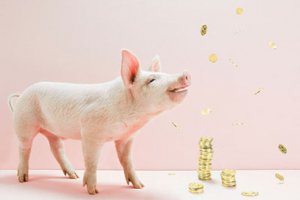 养猪十多年 为何她都在赚钱？