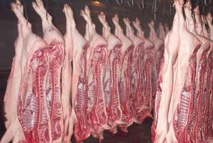 欧洲私人储存库中的猪肉即将被放出