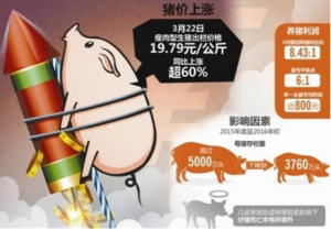 探访北京猪肉市场:进口猪比国产猪便宜一半