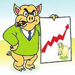 黑龙江猪粮比价进入黄色预警区域 出场价连续四周上升