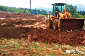 云南：东山镇投资120万元建设能繁母牛养殖小区一个