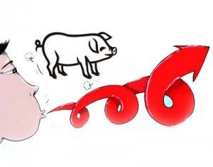 受供求关系影响 广西生猪价格持续较快上涨