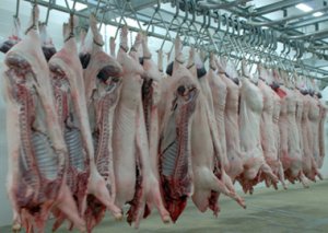 预计2016年年末美国猪肉生产量会下降