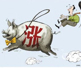 广东惠州：生猪价格上升 排骨零售价比年初涨两成