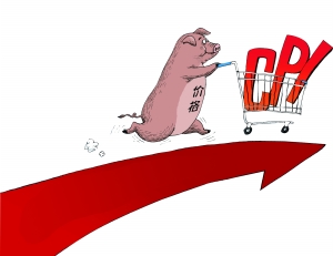 3月湖南猪肉价格上涨24.9%