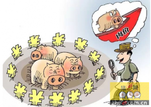 二季度猪价无忧，养殖户可以躺着赚钱啦！