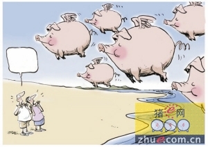 风口下也有飞不高的“猪”:养殖企业能否盈利