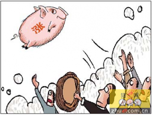 生猪价格高位运行 夏粮播种面积增加