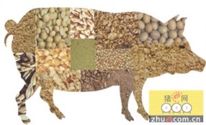 2016年4月份第3周畜产品和饲料集贸市场价格情况