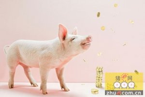 浙江绍兴物价局：生猪价格恐维持到7月底