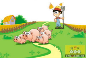 饲料成本回涨 养猪户的春天将结束？