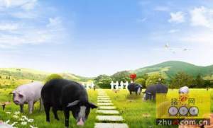 山东潍坊市已创建完成省级畜牧旅游示范区8个