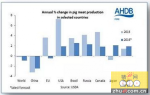 今年全球猪肉产量料下降 中国减产预期成“众矢之的”