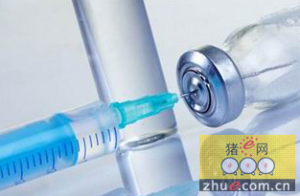 五大国签署协议 将共享口蹄疫疫苗库