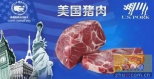 美国前4个月猪肉出口到中国激增78%