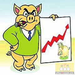 山东淄博博山区生猪价格呈震荡上涨态势 　　