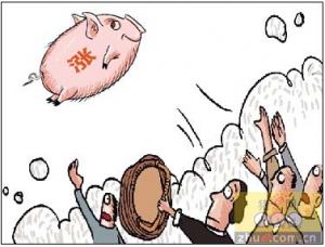 养殖户挺价信心逐渐增强 猪价或仍有上涨空间
