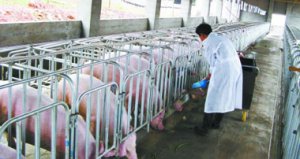 渭南市最大畜牧产业化循环经济项目落户华州